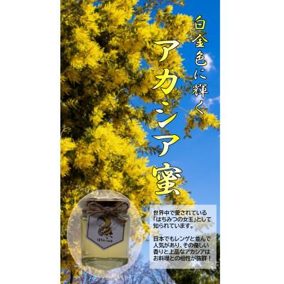 ふるさと納税 森町 【白色金に輝く】国産アカシア蜂蜜 120g【森町SF】 |  | 01