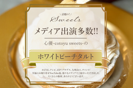 桃 ケーキ 白桃 チーズ タルト 1ホール 12cm [心優-Cotoyu Sweets- 長崎県 平戸市 hr42bjo490198]