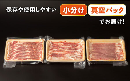 ナルちゃんファーム 豚肉 スライスセット 1kg ロース バラ 大村市 おおむら夢ファームシュシュ[ACAA018] 万能 しゃぶしゃぶ 炒め物 肉巻き 豚 国産 国産豚 贈答 ギフト 万能 しゃぶし