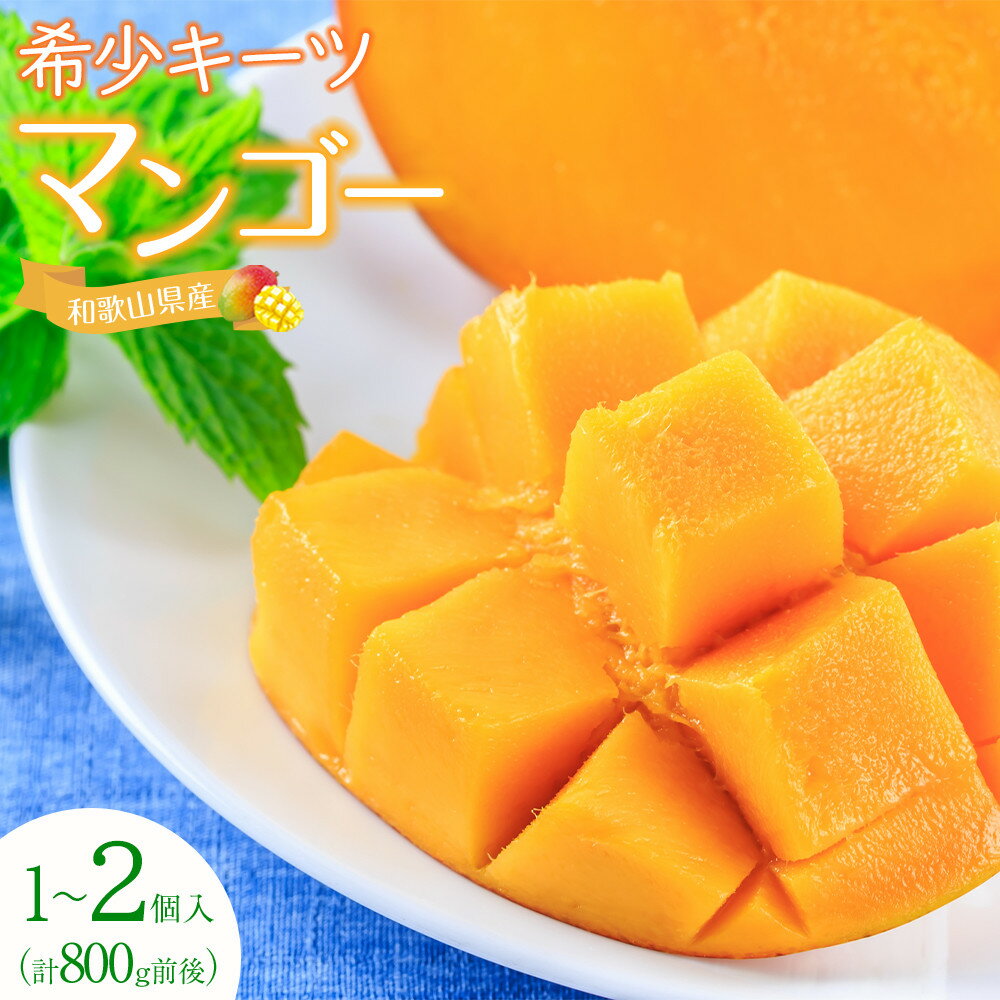 【ふるさと納税】超希少なマンゴー【キーツ】 約800g 和歌山市（2025年9～10月発送分） | フルーツ 果物 くだもの 食品 人気 おすすめ 送料無料