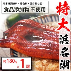 食品添加物不使用の浜名湖うなぎ　長蒲焼1尾(約180g×1)大きなうなぎなので脂ノリノリです!