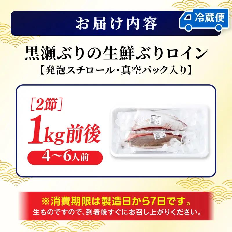 ＜2026年7月発送分＞活じめ！黒瀬ぶりの生鮮ブリロイン2節（1.0kg前後）_K001-012-2607