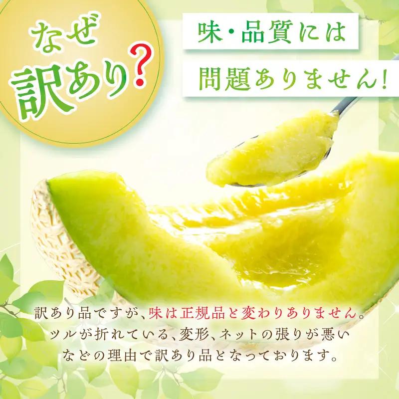 【メロン】訳あり 砂丘メロン 1玉 | 2026年