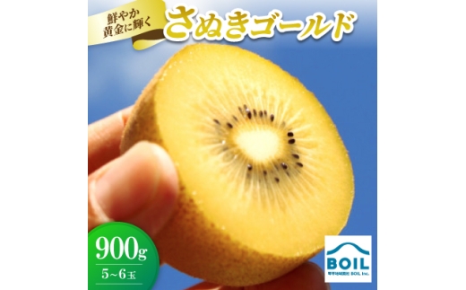 キウイ　鮮やか黄金に輝くゴールドキウイ(さぬきゴールド)　900g(5～6玉)【1678270】