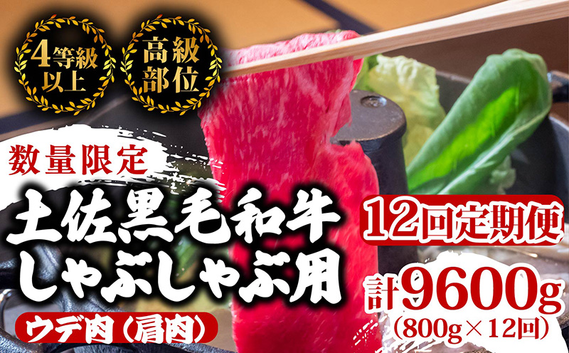 【定期12回】土佐黒毛和牛ウデ肉しゃぶしゃぶ用 計9.6kg【800g×12ヶ月連続お届け】 3Bコース