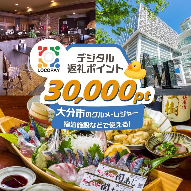 LOCOPAYデジタルポイント【30,000ポイント】 P01093
