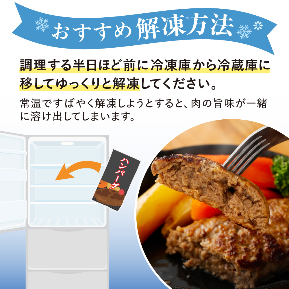 むなかた牛 ハンバーグ 12個セット【道の駅むなかた】_HA1795