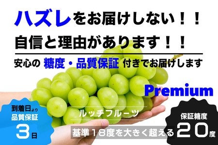 【糖度20度保証付】プレミアム大房シャインマスカット 約750g 1房 FN-Limited 104-043-FN | 【数量超限定】旬の美味しいフルーツだけをお届けします【ルッチ Rucci】産地直送 山梨県 笛吹市 果物 葡萄 ぶどう 贈答 人気 ギフト プレミアム 高級