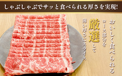 くまもとあか牛 ロース しゃぶしゃぶ用 計500g 最上級 しゃぶしゃぶ 熊本県 ブランド牛 肉 ヘルシー 赤身 牛肉 牛肉 和牛