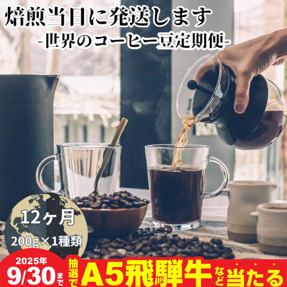 【ふるさと納税】【9月30日〆飛騨牛が抽選で当たる】 【定期便12ヶ月】世界を旅するコーヒー 酸味は苦手、浅煎り抜き 中煎り 深煎り 200g × 1種類 挽きたて 珈琲 自家焙煎 焙煎幸房”そら”〔700-030t-b〕岐阜県 大垣市