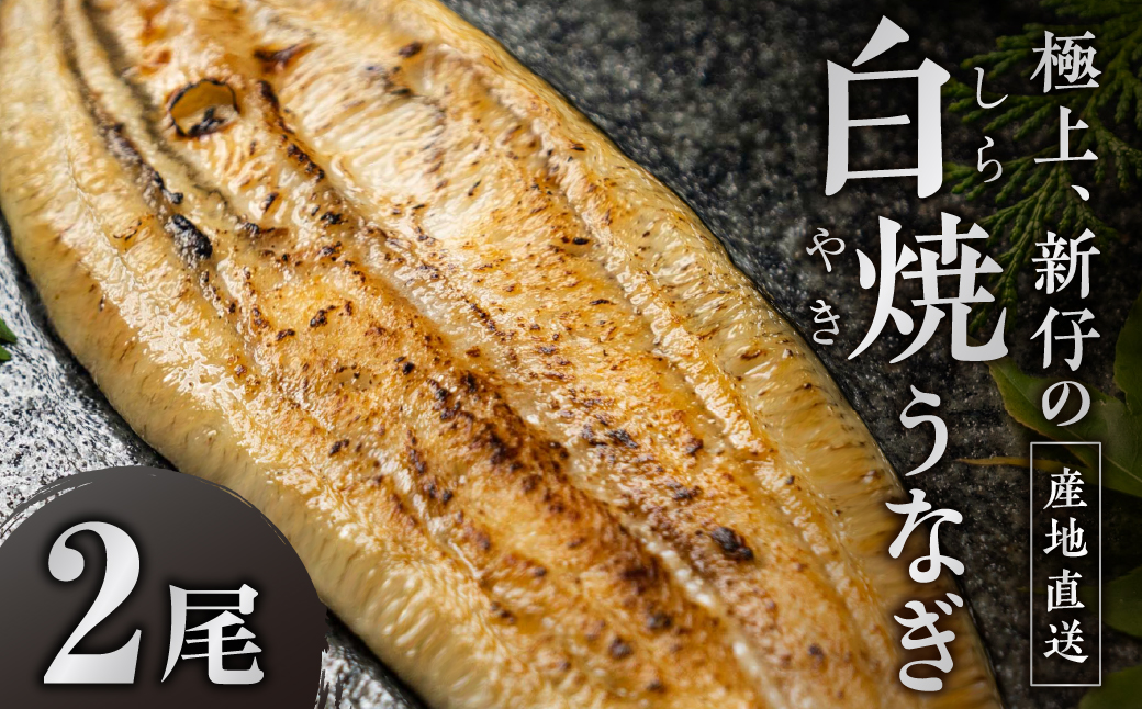 ≪先行予約！ 発送は7月28日≫ 極上 豊橋うなぎ 山義養魚 白焼 希少 厳選 国産 新仔うなぎ 若うなぎ 鰻 簡易包装 ウナギ 鰻 ギフト 配布 最高級 土用丑の日 ギフト 冷凍 お取り寄せ 送料無料 日本酒と わさび 山椒 塩 大人 贅沢