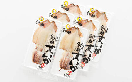 北海道産 真いか一夜干し 2杯×6個セット_一夜干し 烏賊 いか イカ 焼魚 焼き魚 セット ひもの 冷凍 魚介類 海鮮 絶品 人気 笹谷商店 直営 釧之助本店 高級 北海道 釧路町 釧路超 特産品 