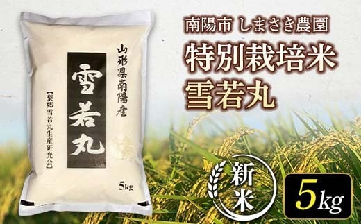 【令和7年産 新米 先行予約】 【米食味コンクール金賞受賞農園】 特別栽培米 雪若丸 5kg 《令和7年11月中旬～発送》 『しまさき農園』 山形南陽産 米 白米 精米 ご飯 農家直送 山形県 南陽市 [2555-R7]