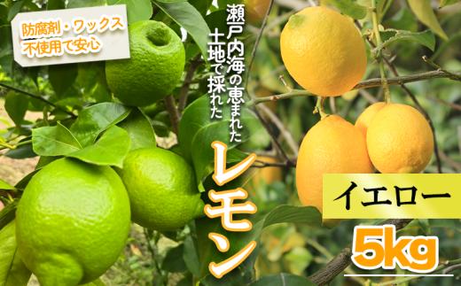 【2027年1月頃から順次発送】イエローレモン 約5kg ｜果物 くだもの フルーツ レモン れもん 檸檬 新鮮 かんきつ 柑橘 防腐剤不使用 ワックス不使用 グリーンレモン ぐりーんれもん イエローレモン いえろーれもん  国産 愛媛県 松山市 瀬戸内 レモン果汁 ビタミン レモンサワー ジュース チューハイ レモンシロップ レモンスカッシュ