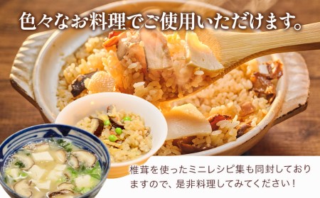 乾燥椎茸 国産 スライス 椎茸 50g×10パック | 津久見市