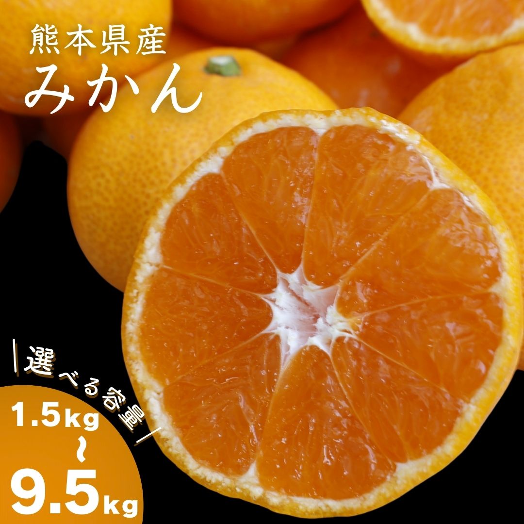 【ふるさと納税】＜選べる内容量＞贈答用 熊本県産 みかん 約1.5kg / 約4.5kg / 約9.5kg 温州みかん ミカン 蜜柑 かんきつ 柑橘 フルーツ くだもの 果物 果実 デザート ギフト 贈答 贈り物 お歳暮 お祝い 国産 九州 熊本県 送料無料 【2026年11月上旬発送開始】