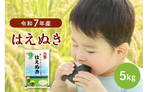 【令和7年産米】2026年4月下旬発送 はえぬき5kg 山形県産 【JAさがえ西村山】