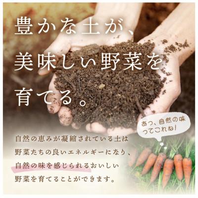 ふるさと納税 京丹後市 【発送月固定定期便】【6回定期便】<てんとうむしばたけ>オーガニック有機野菜7種(2人用)全6回 |  | 01