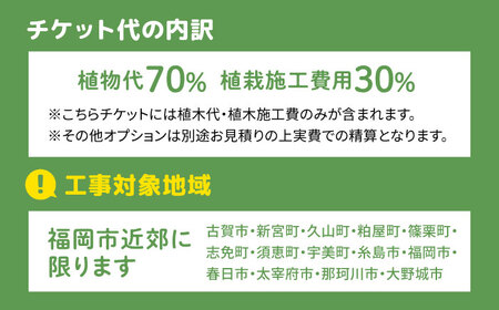グリーンコーディネートチケット【施工込み】糸島市 / サン・グリーン 園芸 植木 [AVN001]