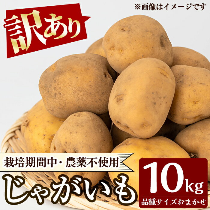 【ふるさと納税】《訳あり》じゃがいも10kg ジャガイモ 品種 おまかせ 訳あり 不揃い だんしゃく きたあかり メークイン でじま 芋 野菜 青果 鹿児島 【泉真一朗】