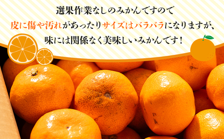みかん 温州みかん 2.5kg 小玉大玉 無選果 大小混合【みかん みかん みかん みかん みかん みかん】 ms-0071