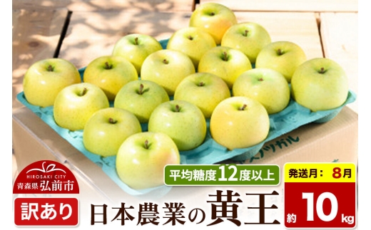 【26年8月クール便発送】りんご 黄王【訳あり】約10kg 平均糖度12度以上 青森県産 果物 フルーツ 林檎 リンゴ くだもの 不揃い 規格外 [家庭用 産地直送 アップル 青森県 弘前市]