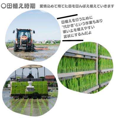 ふるさと納税 弥富市 愛知産弥富市産コシヒカリ10kg　2袋 |  | 03