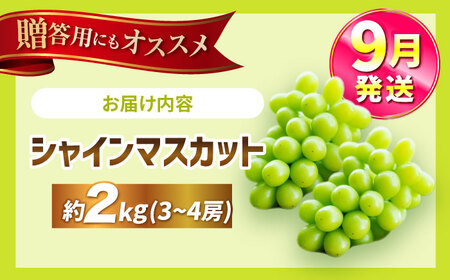 【9月発送】シャインマスカット 約2kg（3～4房）＜濱﨑農園＞[CGN006]