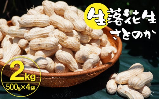 生落花生 さとのか 2kg 高鮮度保持フィルム使用　耕地の美味しい野菜シリーズ第5弾　H132-029