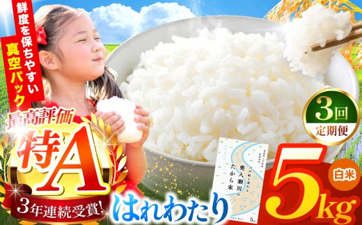 鮮度を保ちやすい 真空パック ！【 3回定期便 】はれわたり 白米5kg | 米 おこめ お米 こめ コメ ごはん ご飯 白飯 ゴハン 白米 精米 特産 ブランド米 ライス 2025年産 令和7年度産 仕送り 国産 産地直送 定期便 定期  青森の旨い米グランプリ もっちり 甘み グランプリ 最優秀賞 獲得 水稲 宝精米所 青森県 六戸町