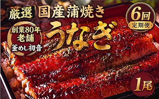 【定期便6回】70年継ぎ足しの秘伝のたれ！初音の厳選高知県産うなぎ蒲焼き1尾＿国産 ウナギ 鰻 うなぎ 蒲焼き 秘伝のタレ 土用の丑の日