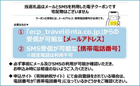 沖縄県恩納村 日本旅行 地域限定旅行クーポン6万円分（Eメール発行） 