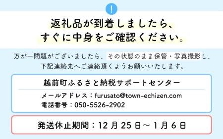 【12ヶ月連続お届け】花の定期便 お楽しみ花 季節のフラワー花のアレンジメント 生花 イベントフラワー花 直ぐに飾れる花フラワー 華やか花 メッセージカード花フラワー 大切な方へお花 毎月届く花 使い