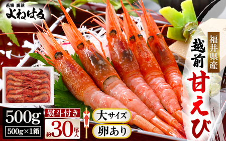 【年内発送】お世話になったあの方へ☆【のし付き】天然！越前甘エビ【大サイズ・卵あり】500g/1箱 [m17-a063]