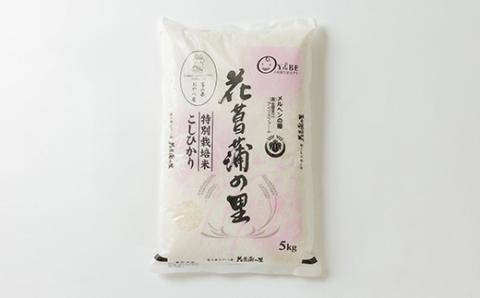 特別栽培米10kg(精米/ミルキークイーン・コシヒカリ　各5kg)