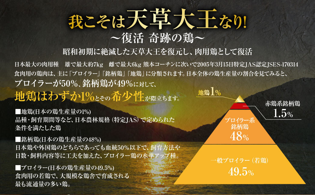 天草大王プレミアムバーベキューセット（小） 計9パック 天草大王 焼鳥 モモ ムネ 皮 手羽先 串
