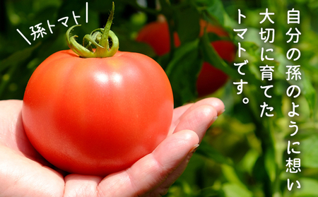 ＜孫トマト（桃太郎トマト）約4kg＞ トマト とまと 4キロ 孫トマト 大玉 愛媛県産 西予市産 食品 桃太郎トマト 桃太郎 野菜 やさい サラダ 産地直送 国産 城川 吉岡農園 愛媛県 西予市【常温