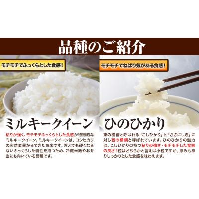 ふるさと納税 矢掛町 青空市きらりのお米 5kg《30日以内に発送予定(土日祝除く)》 |  | 02