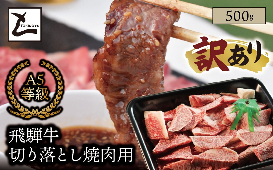 AB-97 【訳あり】A5 飛騨牛 切り落とし 焼肉用 500g