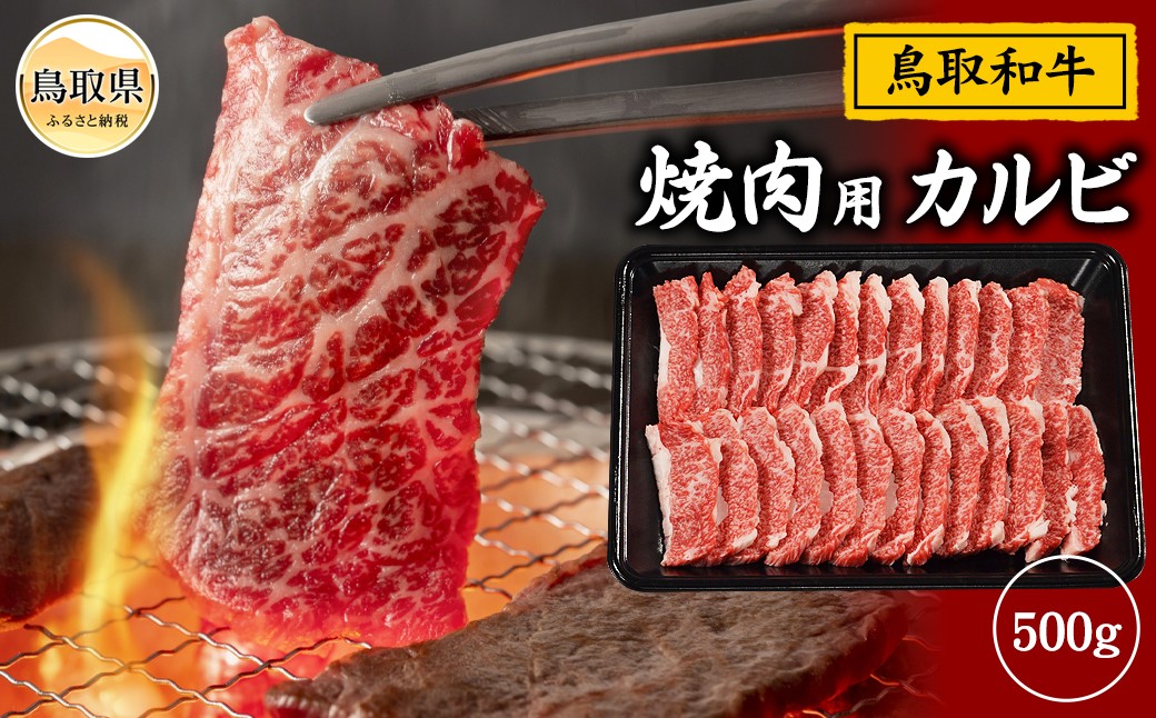 
                  鳥取和牛 焼肉用 カルビ 500g_T2600362 ふるさと納税 鳥取 牛肉 お肉 和牛 贅沢 おかず
                