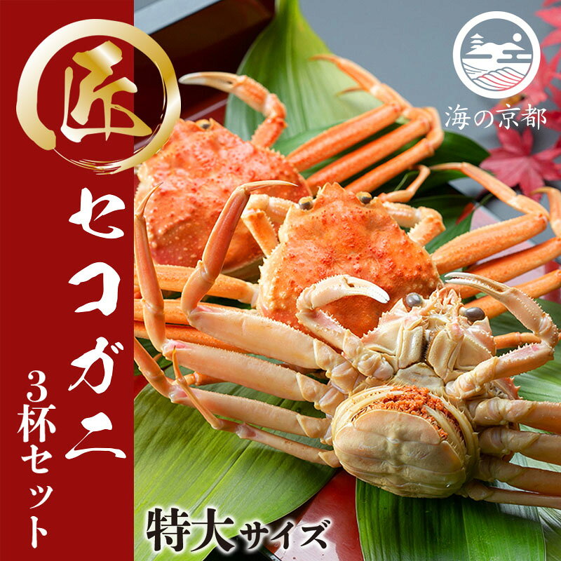 【ふるさと納税】セコガニ コッペがに 子持ち 特大サイズ 3杯セット 冷蔵 蟹 カニ かに 松葉蟹 松葉ガニ ズワイガニ ボイル myz05　お届け：2026年11月中旬以降発送
