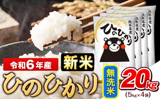 令和6年産新米 早期先行予約受付中 無洗米 ひのひかり 20kg《11月-12月より出荷予定》令和6年産 熊本県産 ふるさと納税 無洗米 精米 ひの 米 こめ ふるさとのうぜい ヒノヒカリ コメ お米