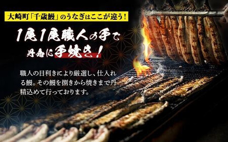 【定期便全6回】 鹿児島県 大隅産 千歳鰻 白焼き 4尾・ 蒲焼 4尾 （1尾110g～130g）| 白焼き