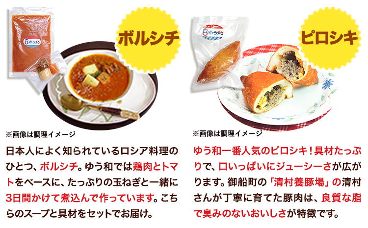 ゆう和 ピロシキ ボルシチ セット 計10食分 ボルシチ4食 ピロシキ6食 ギャラリーレストランゆう和 《30日以内に出荷予定(土日祝除く)》 ピロシキ 冷凍 熊本県 御船町 有限会社ながもと_イメー