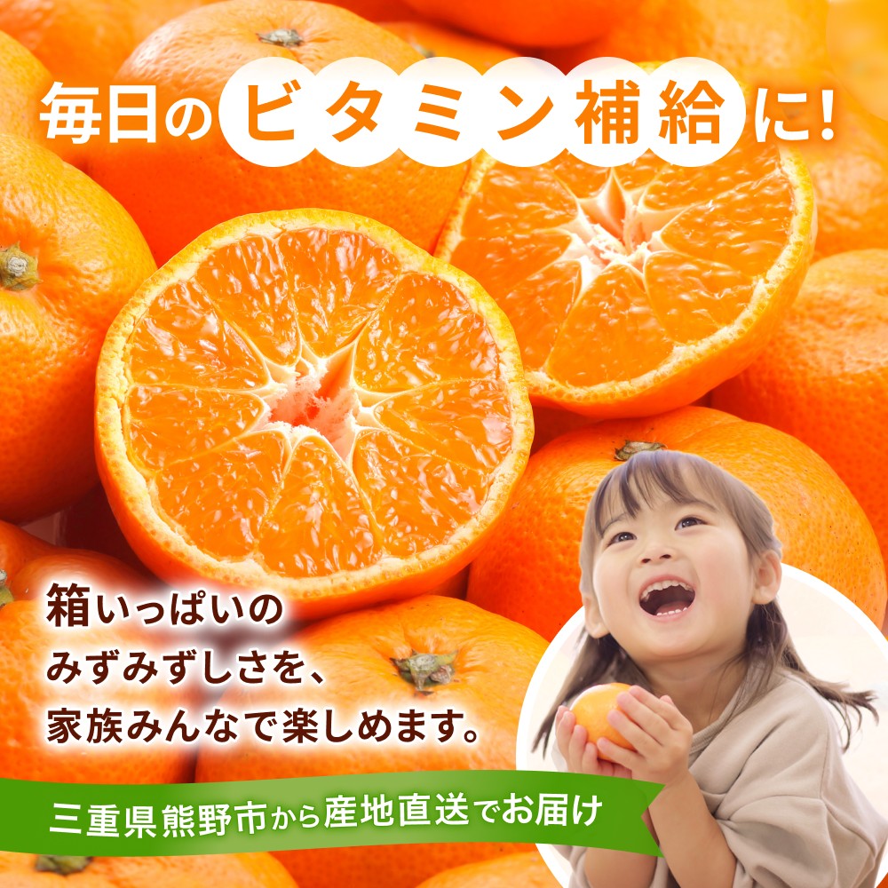 <テレビで紹介されました> 金山パイロットファーム 温州みかん 10㎏ (早生) みかん ミカン 温州みかん 早生みかん 早生温州 フルーツ 果物 くだもの 柑橘 産地直送 数量限定 人気 国産 三重