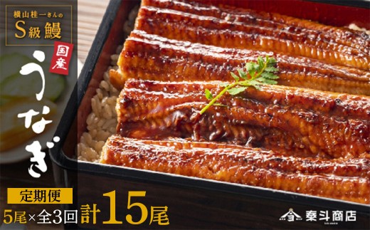
            【定期便全3回】横山桂一さんのS級鰻　大5尾×3回配送　計15尾
          