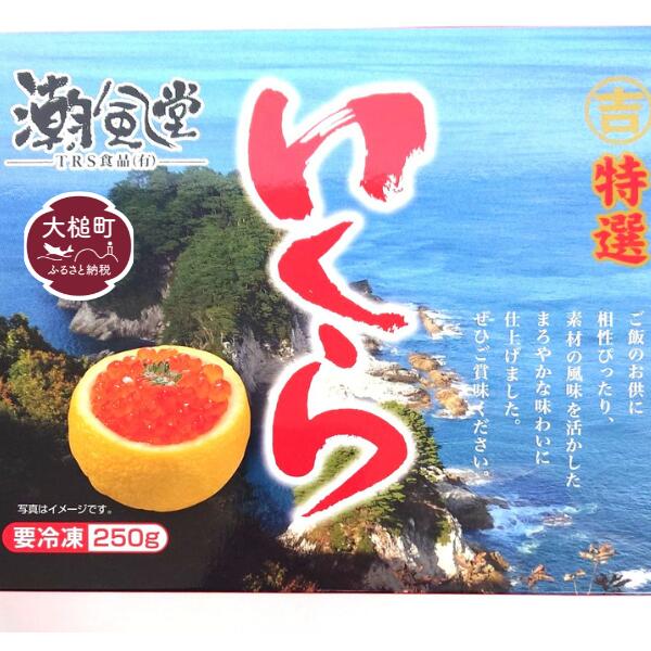 【ふるさと納税】【2025年10月下旬より発送】塩いくら 国産 数量限定 250g 冷凍 イクラ 鮭 秋鮭 魚卵 海鮮 ikura 極上品 おせち サケ 鮭いくら 鮭卵 さけ 卵 ご飯 イクラ丼 お祝い 縁起物 食品 グルメ のし 送料無料 岩手県大槌町 TRS