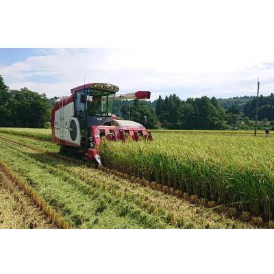 ふるさと納税 小千谷市 令和7年産 魚沼産コシヒカリ 5kg【特別栽培米】 |  | 02