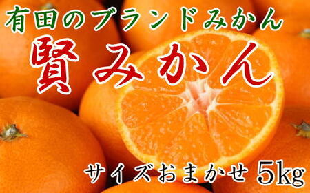 ［秀品］有田のブランドみかん「賢みかん」5kg（サイズおまかせ）［2025年11月中旬頃より順次発送］