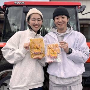 ほしいも品評会受賞 横須賀農園 干し芋(平干し)  400g×2【1614760】